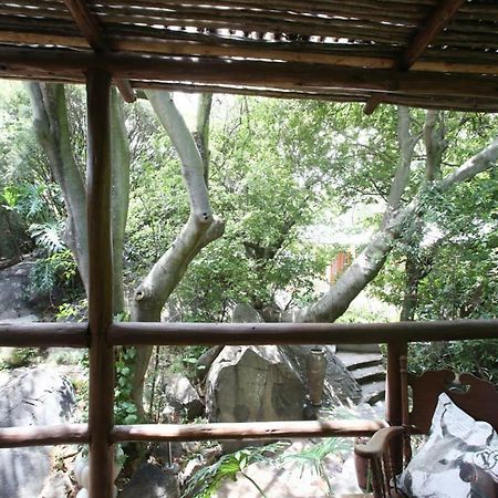 Little Forest Guest House Johannesburg Exterior photo