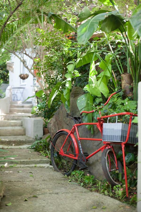 Little Forest Guest House Johannesburg Exterior photo